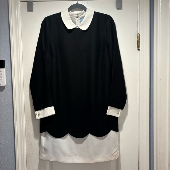 CeCe | Jada Scalloped Overlay Collared Shift Dress | Black White | size 8 - Picture 3 of 16
